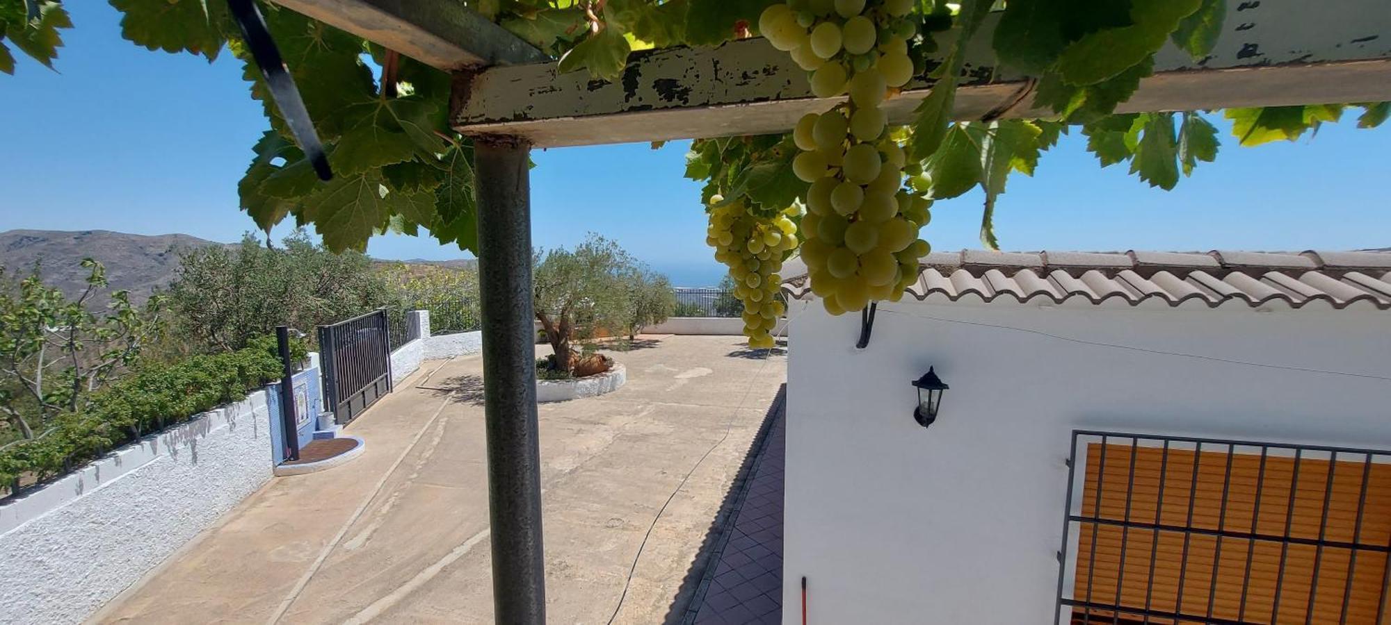 Cortijo Blanco Albondon