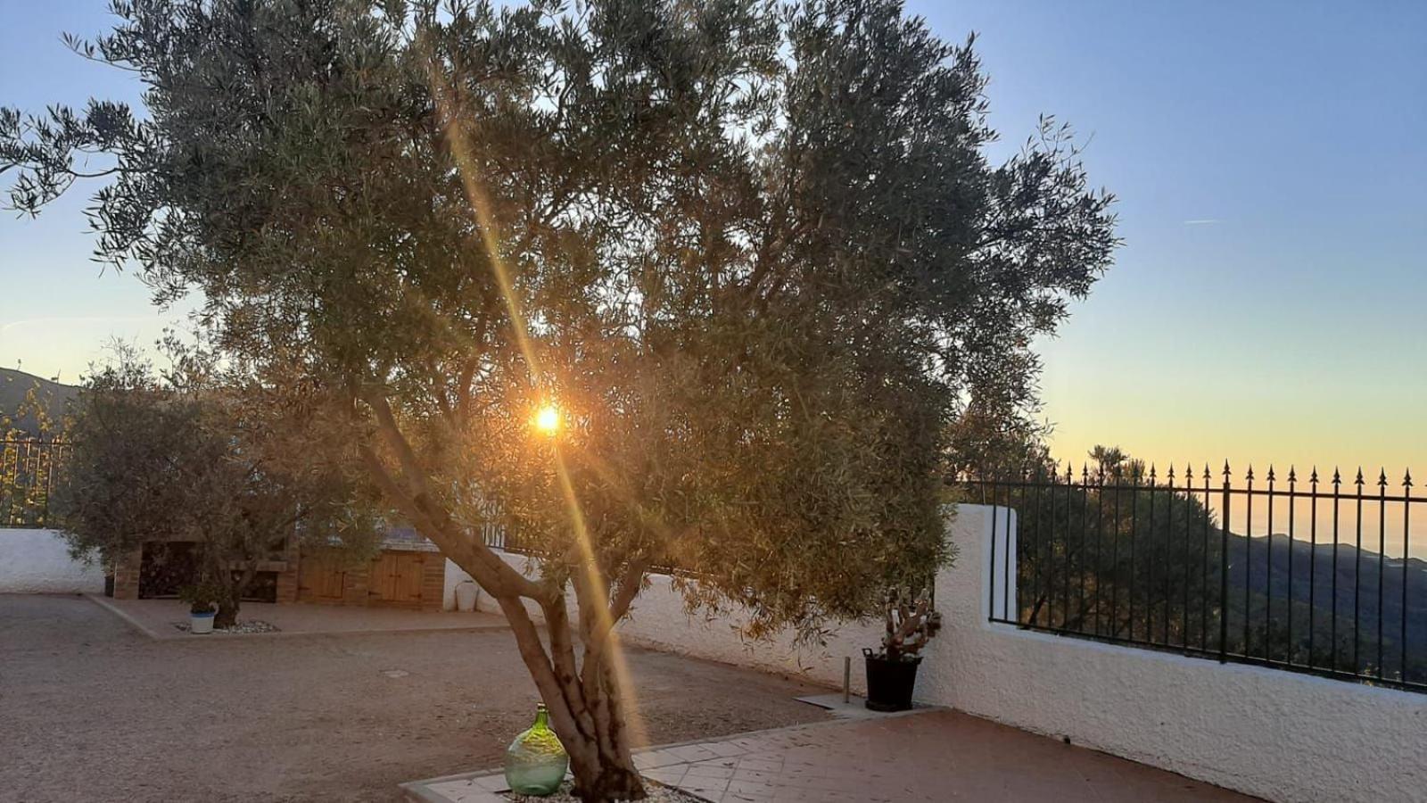 Ferienhaus Cortijo Blanco