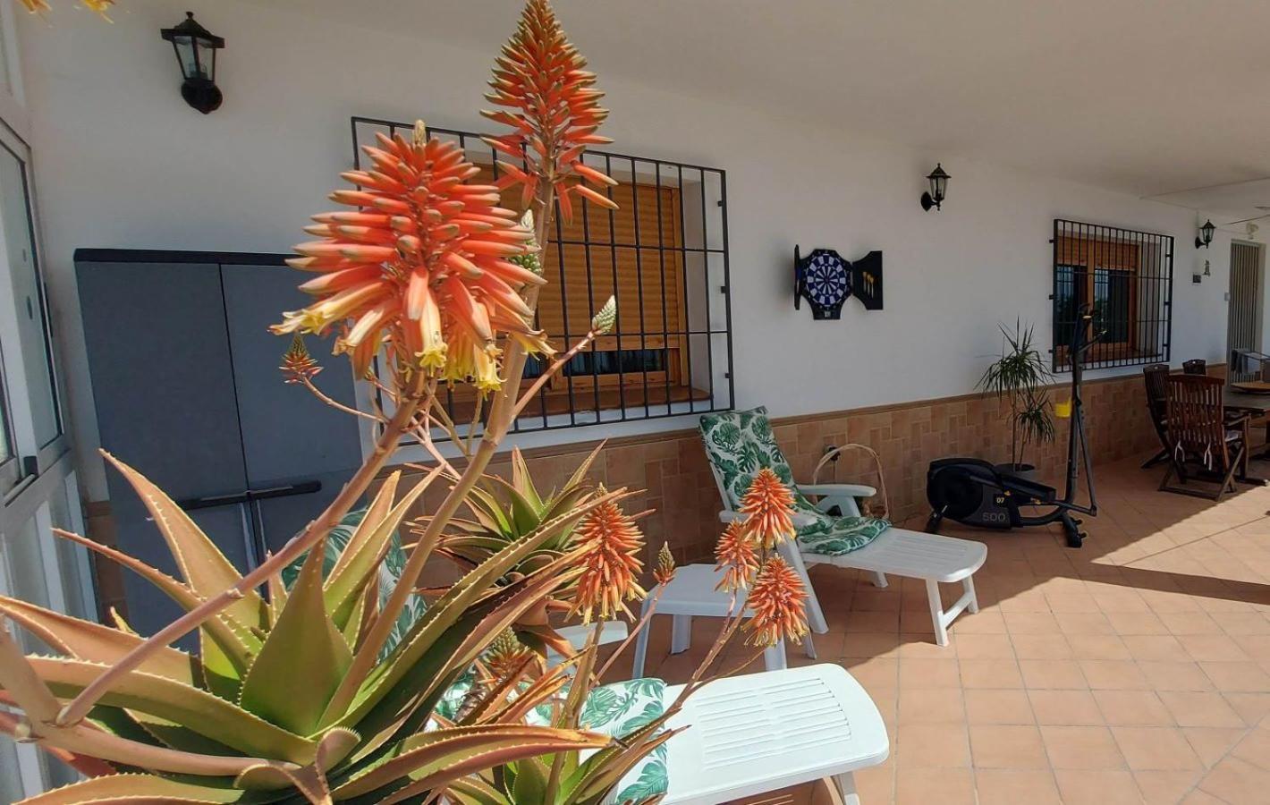 Cortijo Blanco