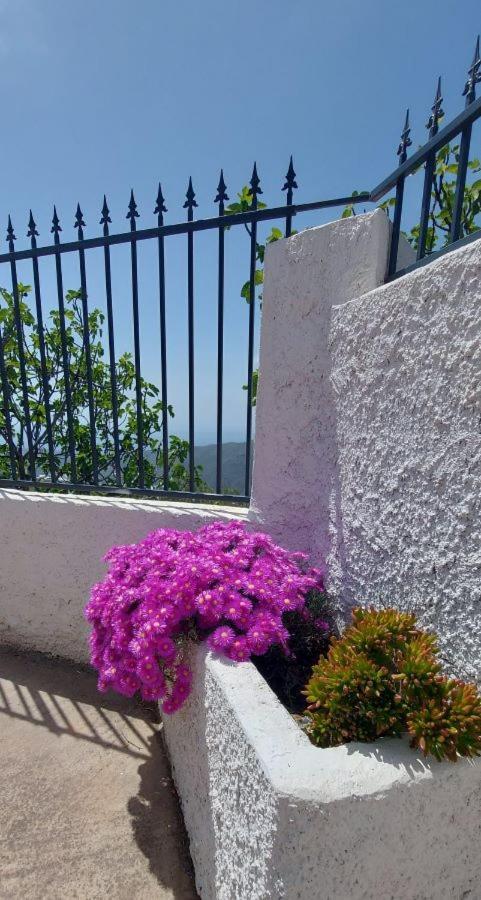Cortijo Blanco Ferienhaus